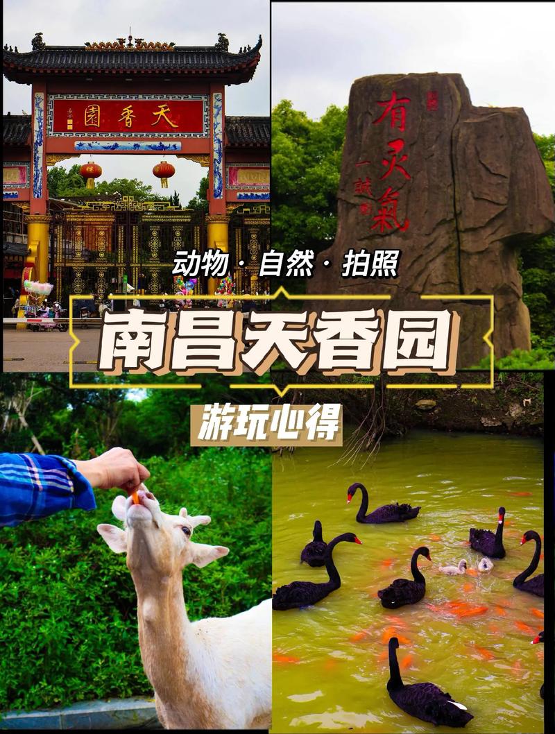 南昌有哪些好玩的地方？-第3张图片-花冠旅游服务