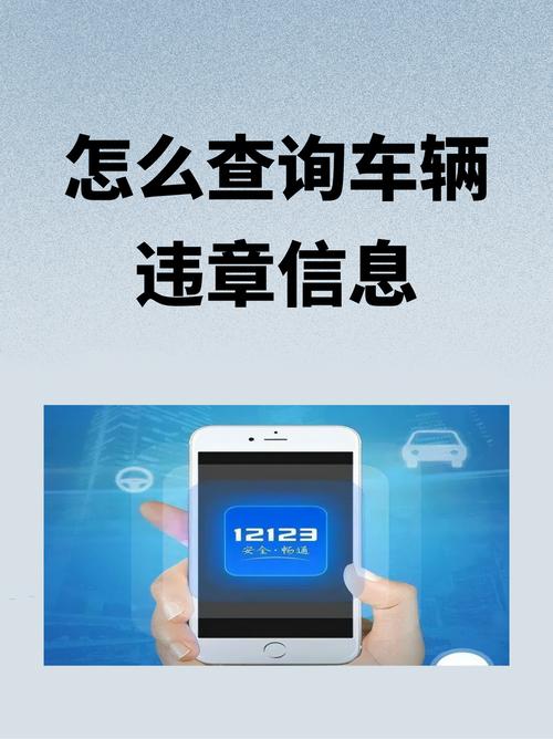 新疆交通网车辆违章查询怎么查？-第3张图片-花冠旅游服务