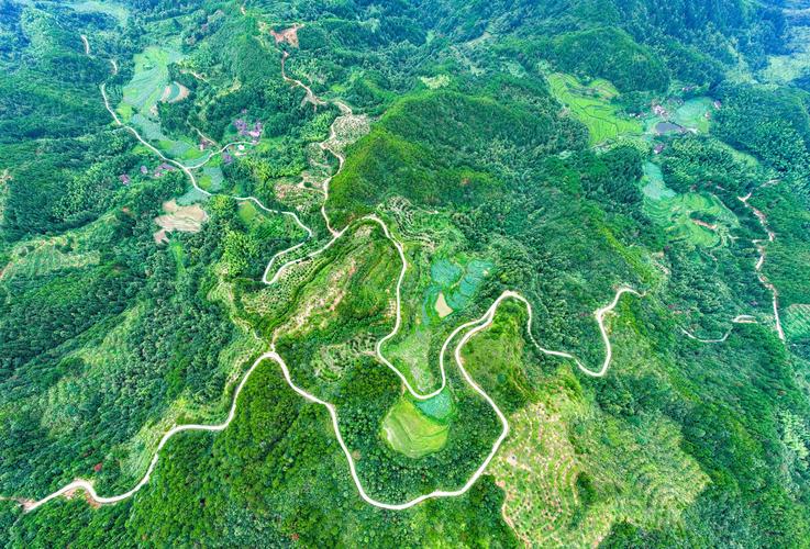 江西南丰322国道地形图有何特点？-第2张图片-花冠旅游服务