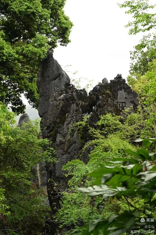 福建石林在永安有何独特魅力？-第1张图片-花冠旅游服务