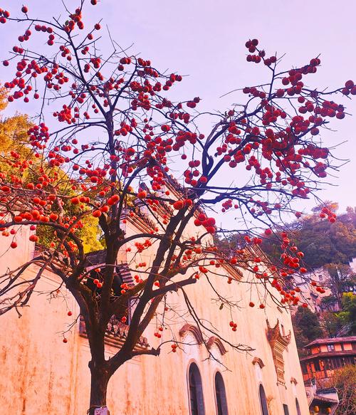 江西秋天十大景点，哪些最值得去？-第2张图片-花冠旅游服务