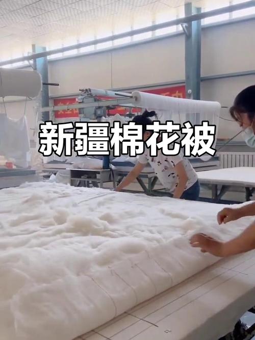 新疆长绒棉从乌鲁木齐运往何处？-第3张图片-花冠旅游服务