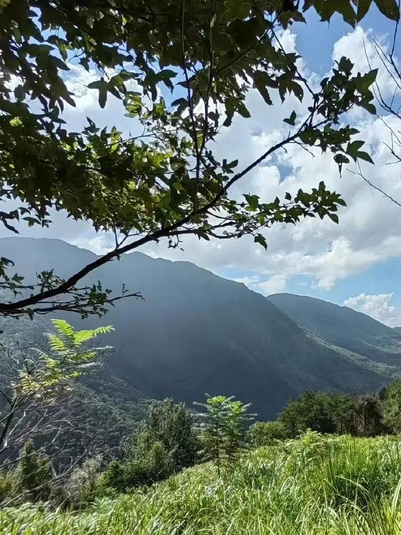 福建大田到建瓯的距离是多少？-第2张图片-花冠旅游服务