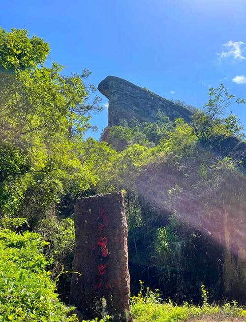 福建武夷山有哪些必玩景点？-第2张图片-花冠旅游服务