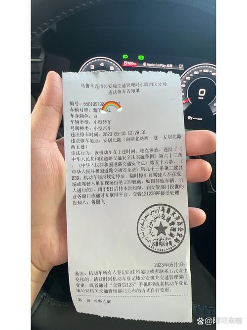新疆阿克苏车辆违章查询-第3张图片-花冠旅游服务