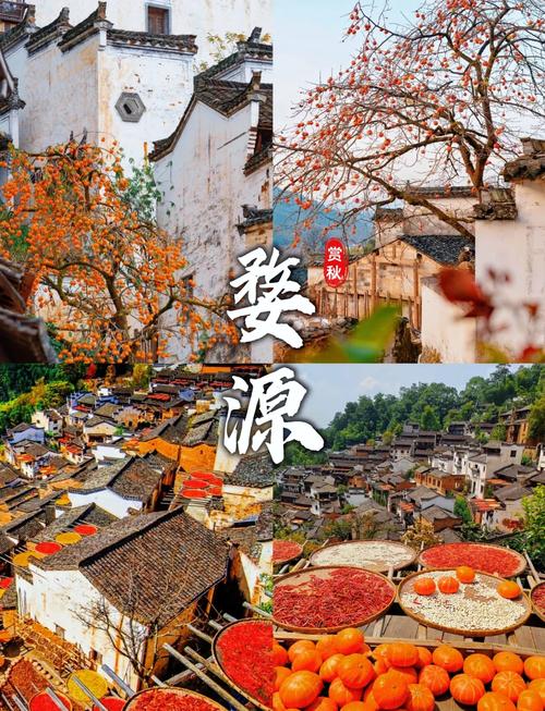 江西婺源10月旅游攻略-第1张图片-花冠旅游服务