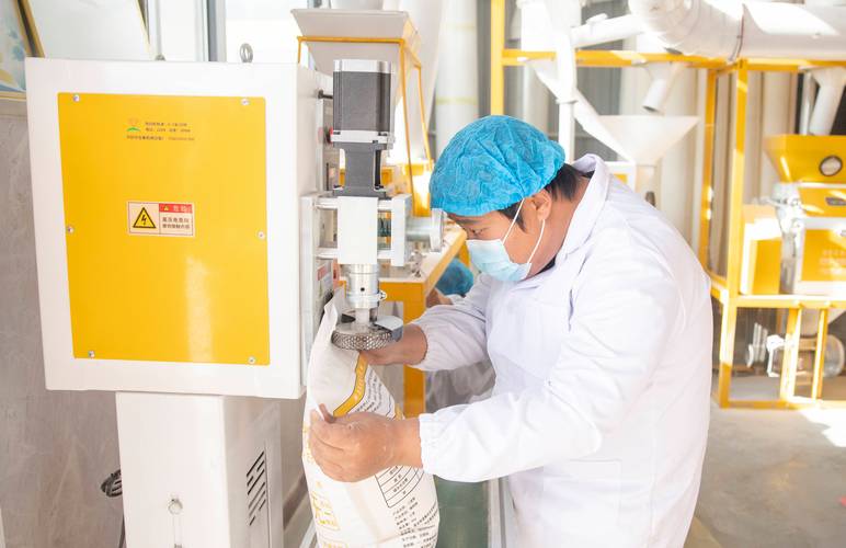 福建龙岩小洋面粉厂有何发展故事？-第3张图片-花冠旅游服务