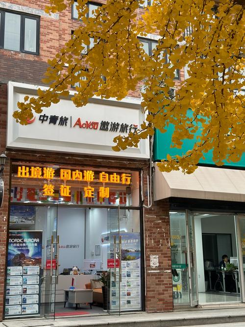 新疆中旅假日国际旅行社-第2张图片-花冠旅游服务