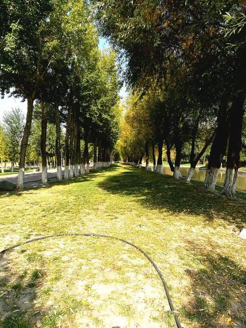 新疆五家渠102团邮编是多少？-第2张图片-花冠旅游服务