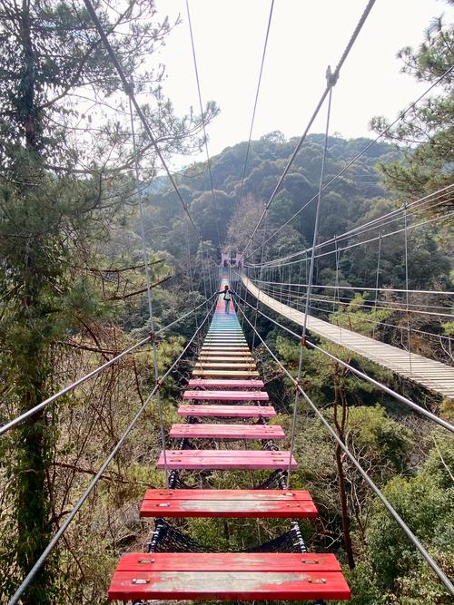 福建周边省份哪里好逛？-第1张图片-花冠旅游服务