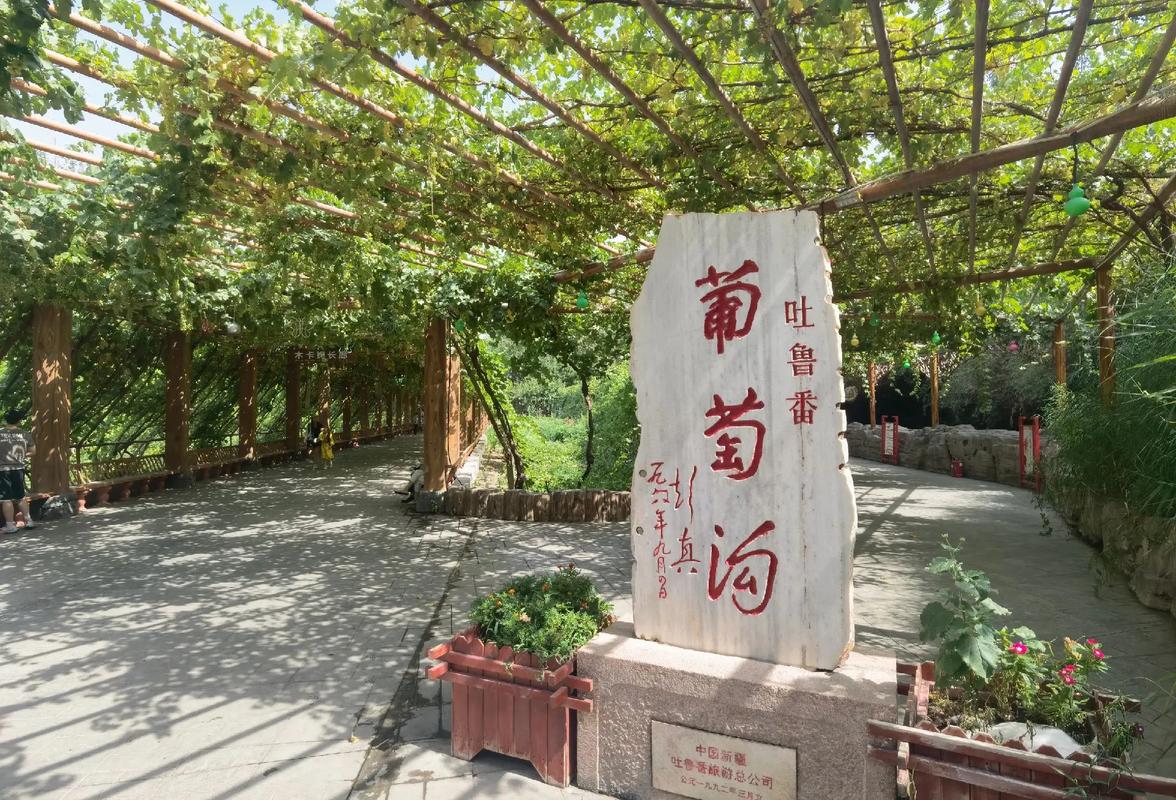 新疆吐鲁番葡萄沟有何独特魅力？-第2张图片-花冠旅游服务