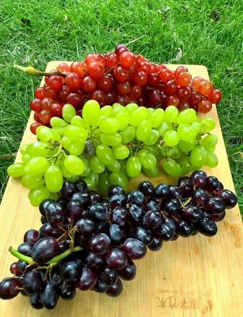 新疆吐鲁番有哪些特色水果？-第1张图片-花冠旅游服务