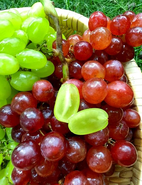 新疆吐鲁番有哪些特色水果？-第2张图片-花冠旅游服务