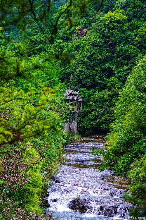 福建圣阳白水洋旅游集团有何特色？-第3张图片-花冠旅游服务