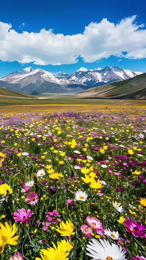 新疆五月旅游去哪玩最合适？-第1张图片-花冠旅游服务