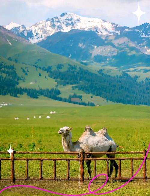 新疆五月旅游去哪玩最合适？-第2张图片-花冠旅游服务