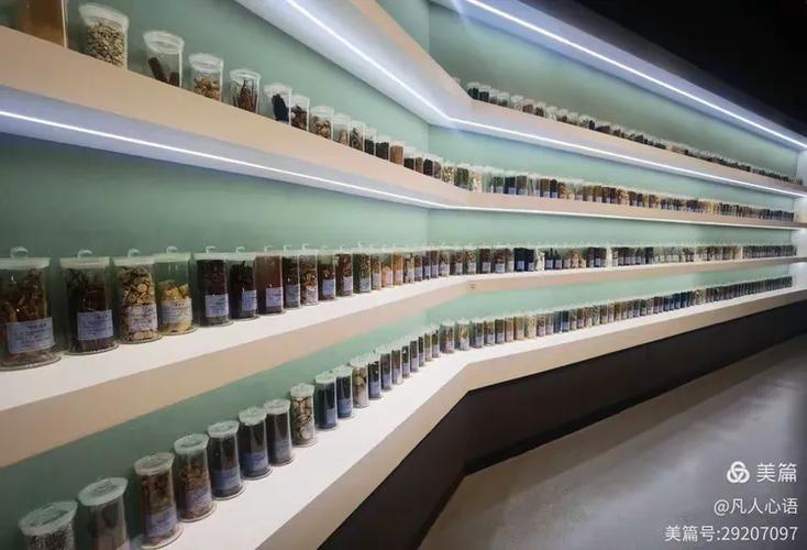 福建中医药馆有何特色与传承？-第2张图片-花冠旅游服务