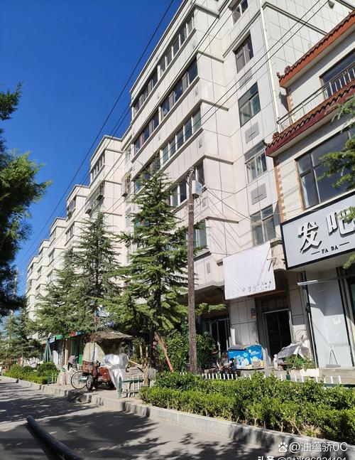 新疆石河子33小区有何故事?-第2张图片-花冠旅游服务 新疆石河子33小区有何故事?-第2张图片-花冠旅游服务