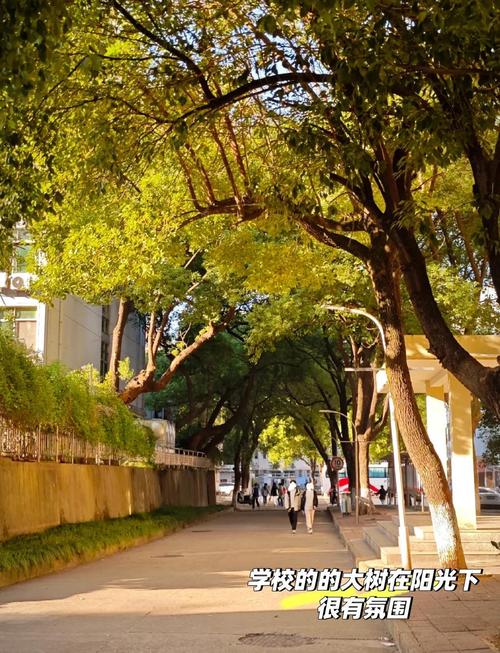 江西理工大学南昌校区有何特色？-第1张图片-花冠旅游服务