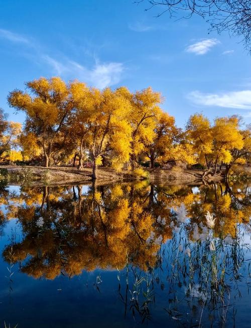 新疆红海景区到底好不好玩？-第1张图片-花冠旅游服务