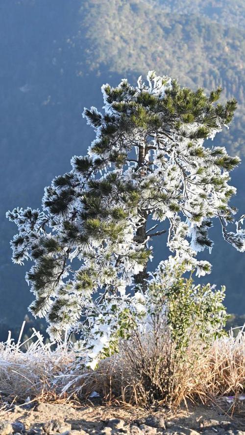 福建省莆田市仙游县天气-第2张图片-花冠旅游服务