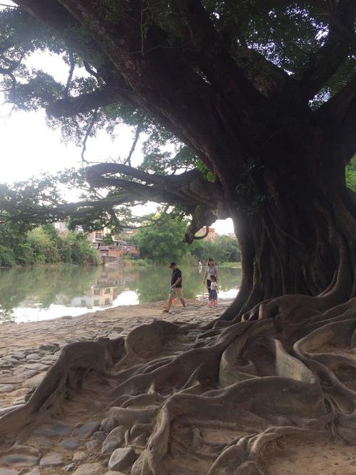 福建南靖天气如何？-第3张图片-花冠旅游服务