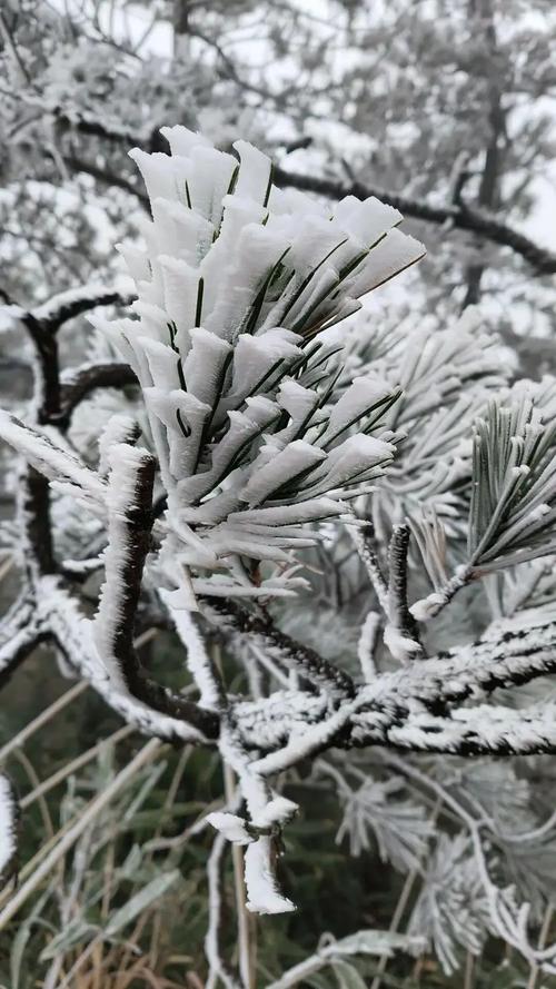 永春县今日天气如何？-第3张图片-花冠旅游服务