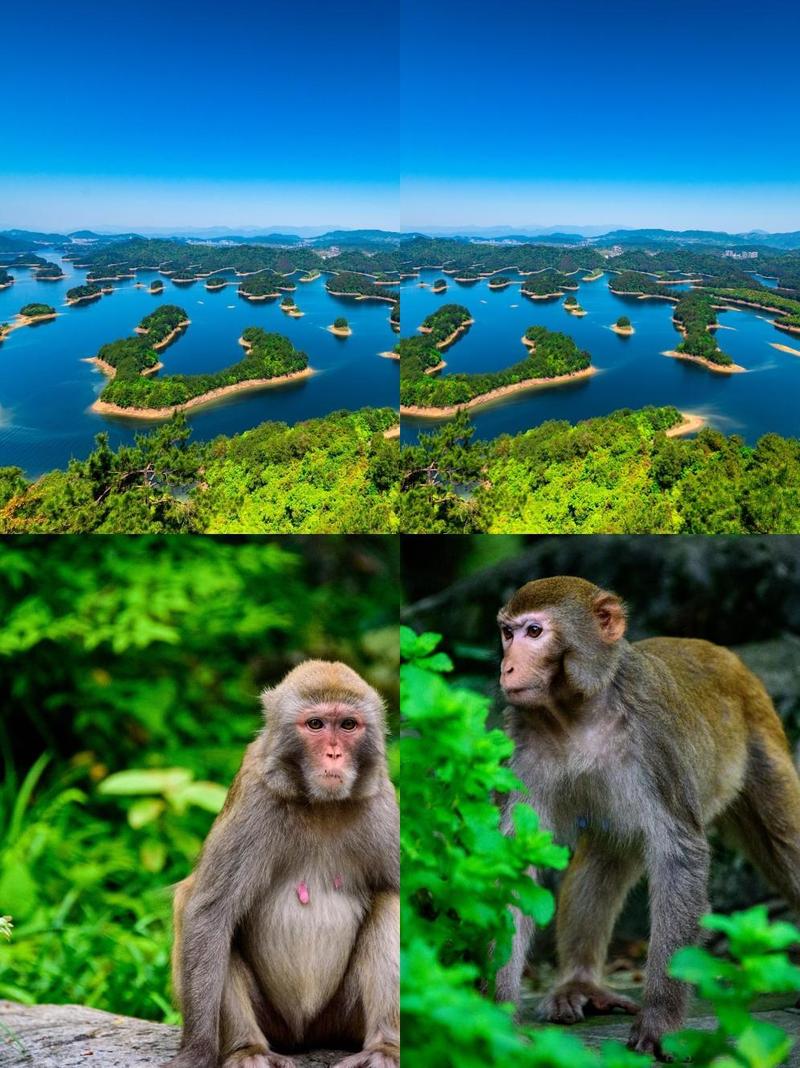 江西九江千岛湖有哪些必玩景点？-第2张图片-花冠旅游服务