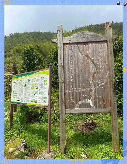 梅岭风景区怎么玩最尽兴？-第1张图片-花冠旅游服务