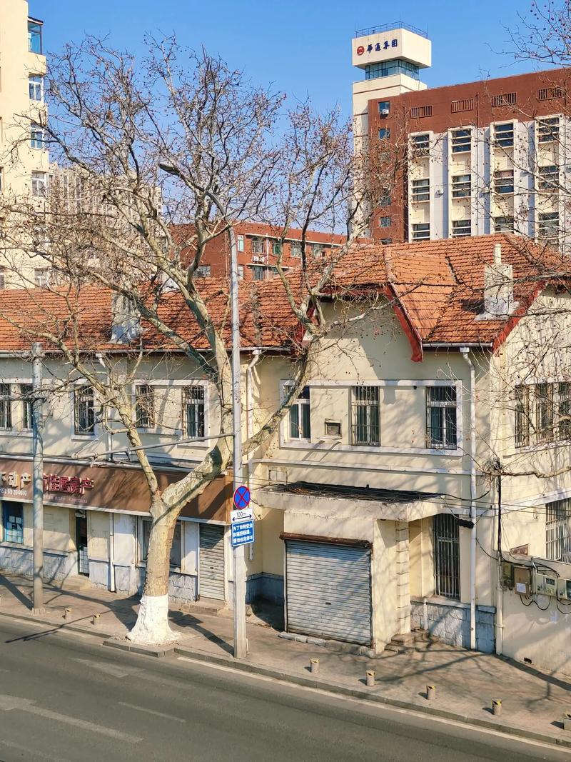 新疆路8号在青岛市北区有何特别？-第3张图片-花冠旅游服务