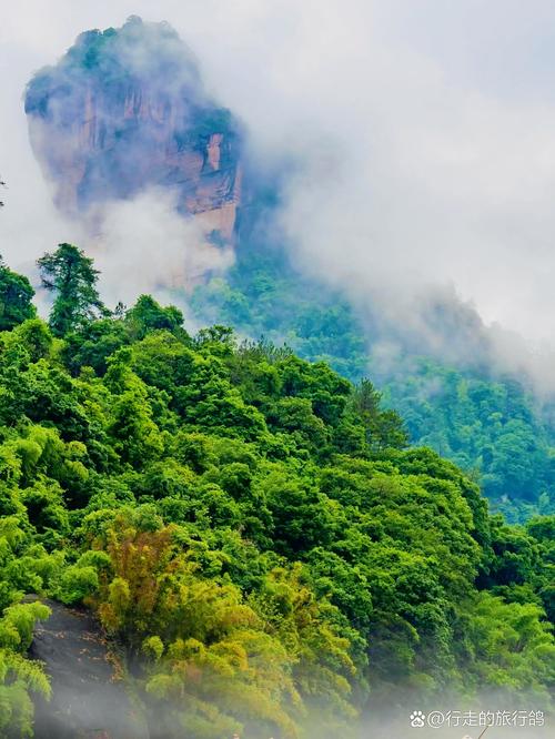 福建武夷山天气如何？-第1张图片-花冠旅游服务