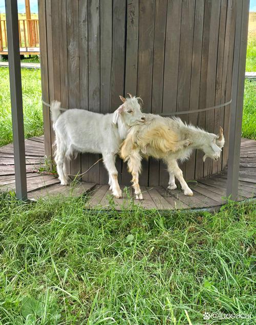 新疆农一师十四团宾馆怎么样？-第1张图片-花冠旅游服务