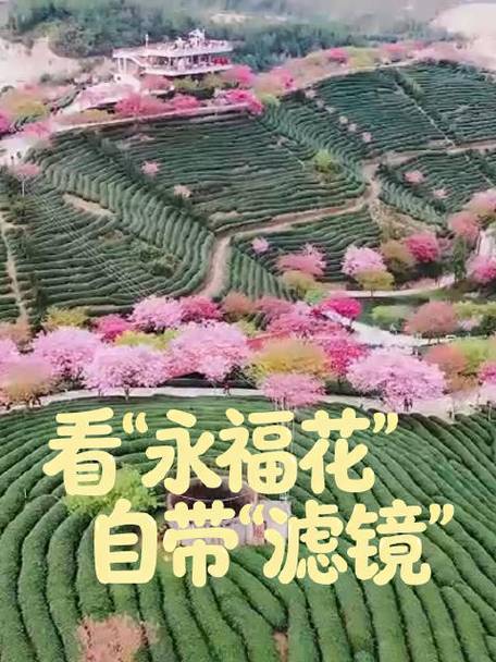 福建永定区到福建永福怎么走？-第3张图片-花冠旅游服务