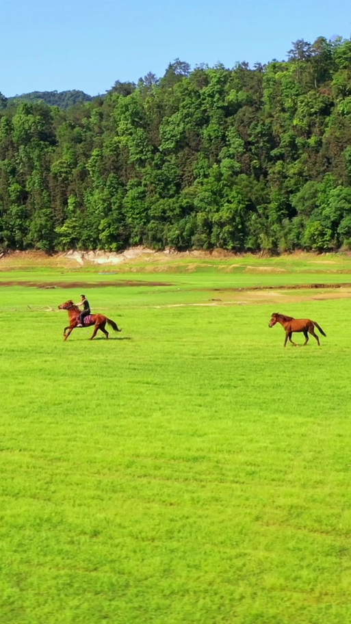 江西赣州上犹县大草园有何特色？-第2张图片-花冠旅游服务