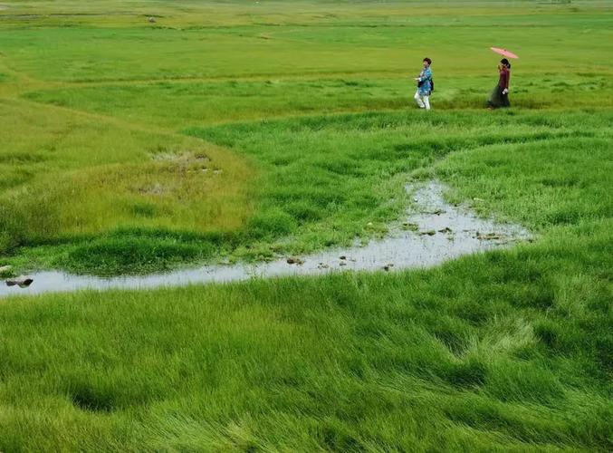 江西赣州上犹县大草园有何特色？-第3张图片-花冠旅游服务