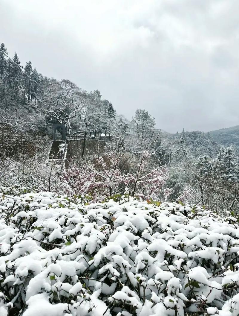 福建哪里能看到下雪？-第1张图片-花冠旅游服务
