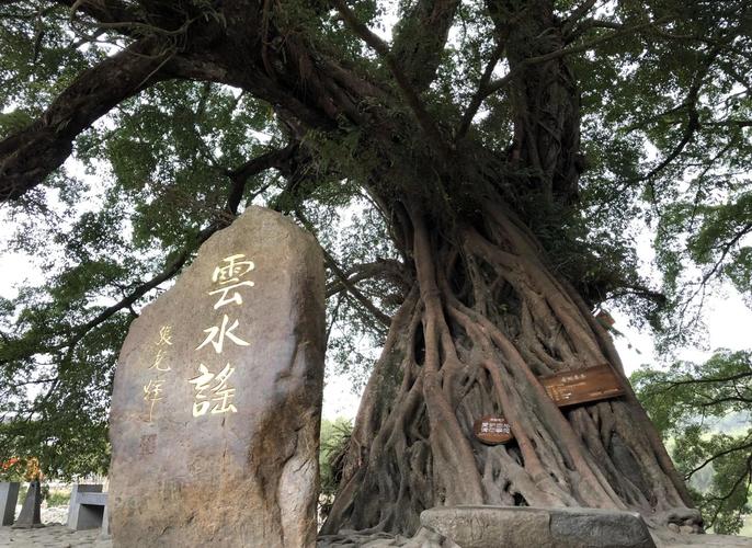 福建云水谣在福建东部？-第2张图片-花冠旅游服务