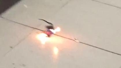 福建为何流行烤老鼠这道菜？-第1张图片-花冠旅游服务