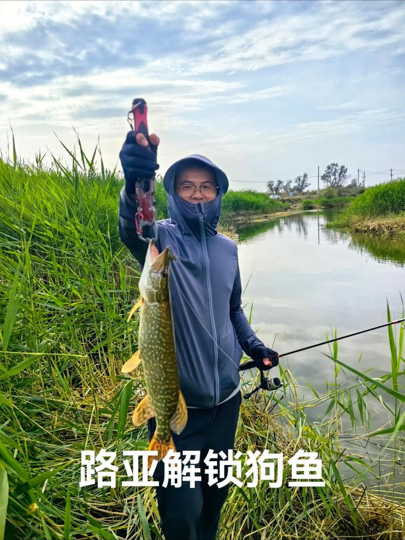 新疆石河子附近哪里能钓鱼？-第3张图片-花冠旅游服务