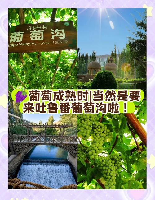 新疆葡萄沟有何独特魅力与故事？-第1张图片-花冠旅游服务