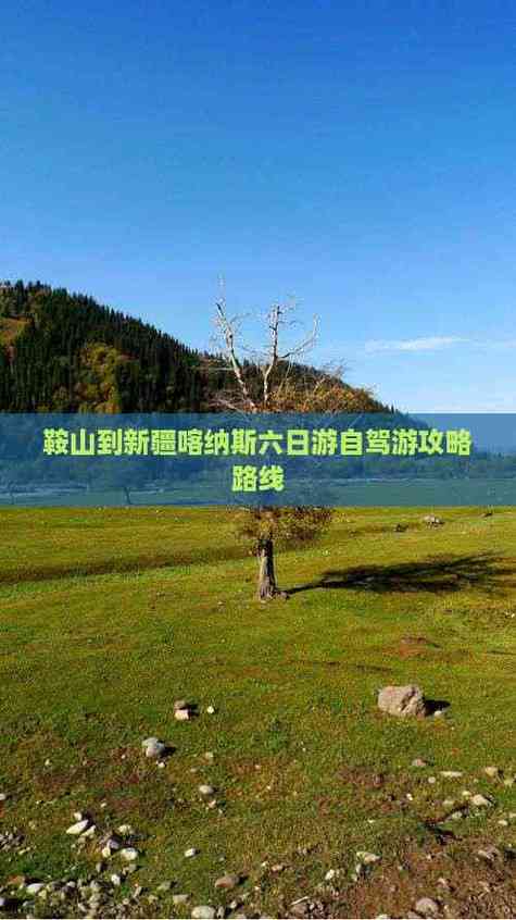 鞍山到新疆自驾游路线怎么规划？-第1张图片-花冠旅游服务