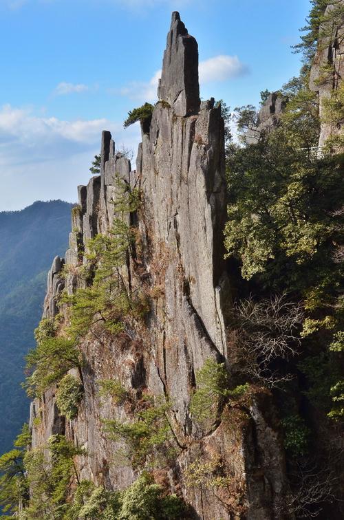 江西宜春手机号码哪里能找到?-第2张图片-花冠旅游服务 江西宜春手机号码哪里能找到?-第2张图片-花冠旅游服务