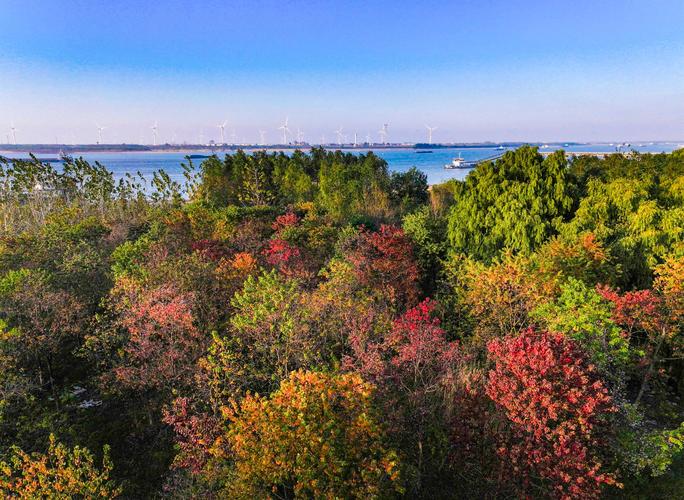 江西湖口有哪些风景区？-第2张图片-花冠旅游服务