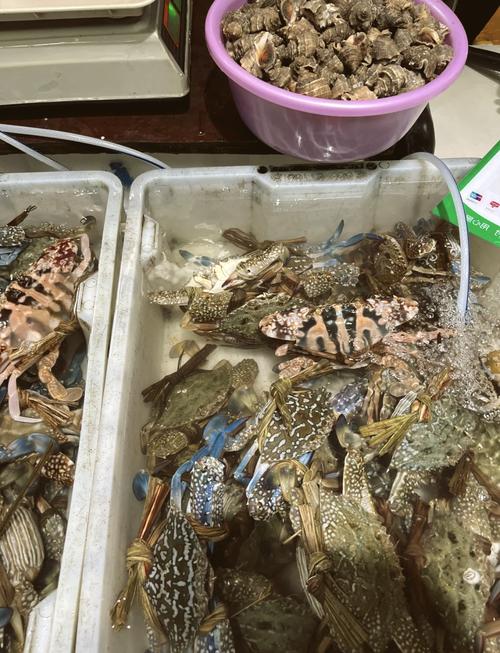 九江哪里能买到新鲜海鲜?-第3张图片-花冠旅游服务 九江哪里能买到新鲜海鲜?-第3张图片-花冠旅游服务