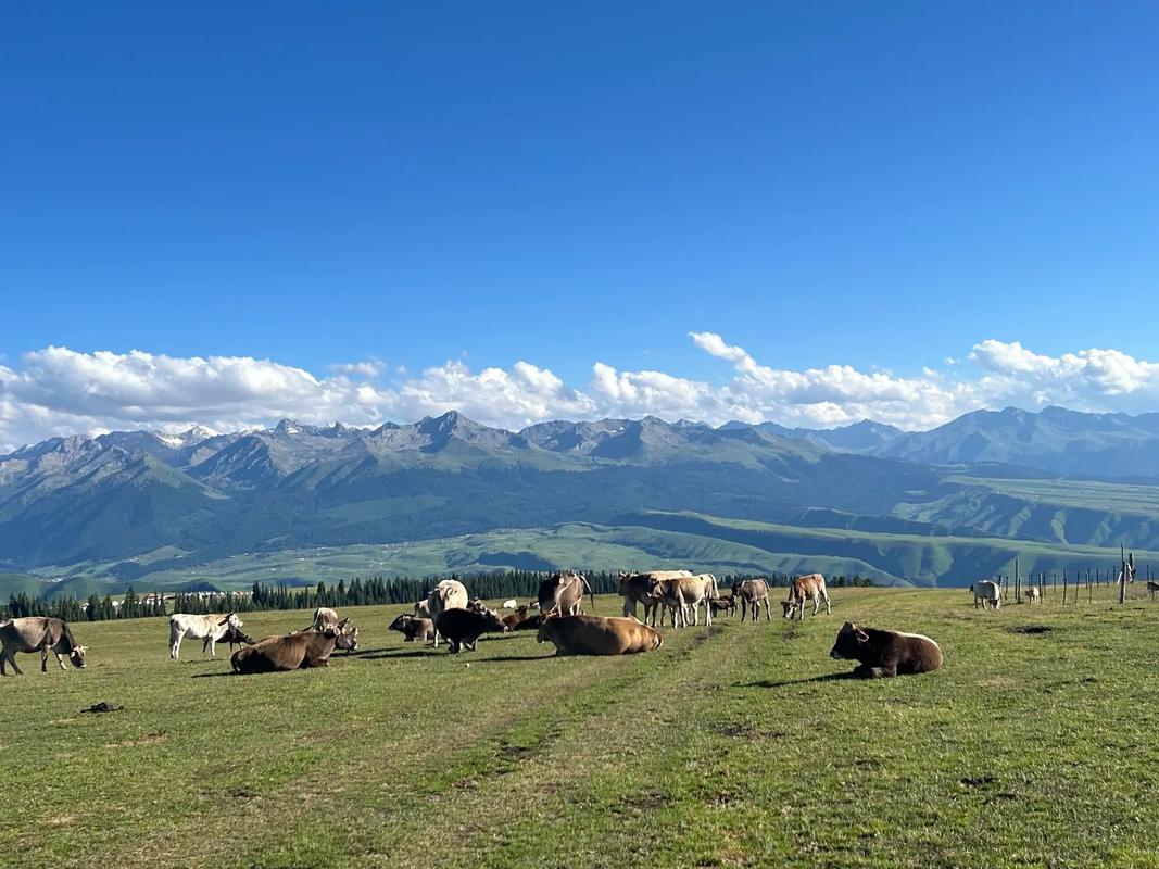 新疆去哈萨克斯坦旅游怎么规划最省心？-第3张图片-花冠旅游服务