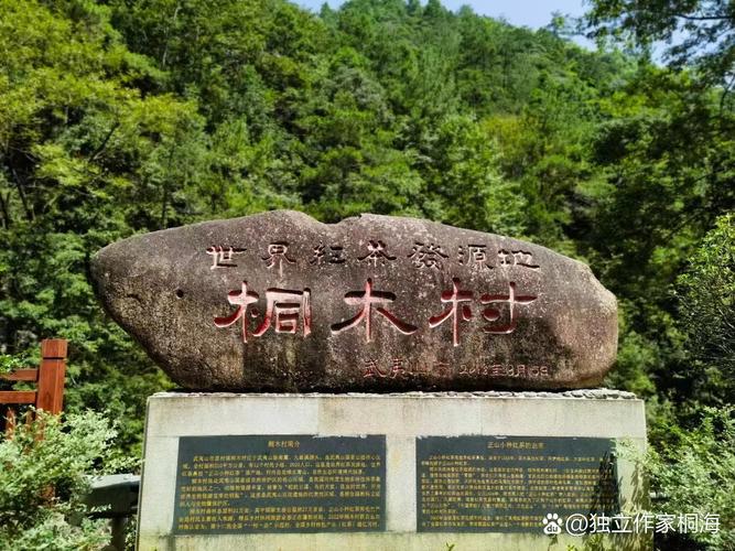 桐木村有何独特魅力与故事？-第1张图片-花冠旅游服务