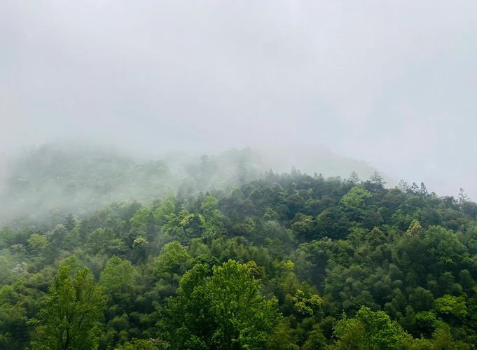 桐木村有何独特魅力与故事？-第2张图片-花冠旅游服务