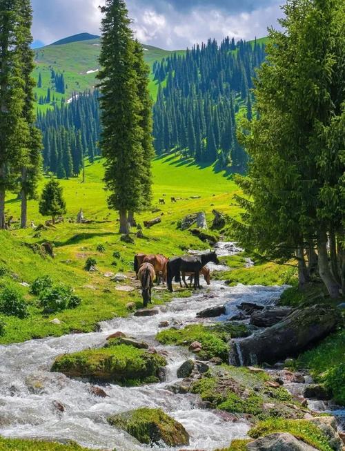 新疆阿勒泰有哪些必游景点？-第2张图片-花冠旅游服务