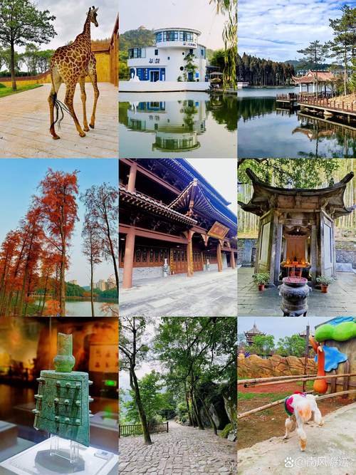 宜春市有哪些值得一去的游玩好去处?-第1张图片-花冠旅游服务 宜春市有哪些值得一去的游玩好去处?-第1张图片-花冠旅游服务