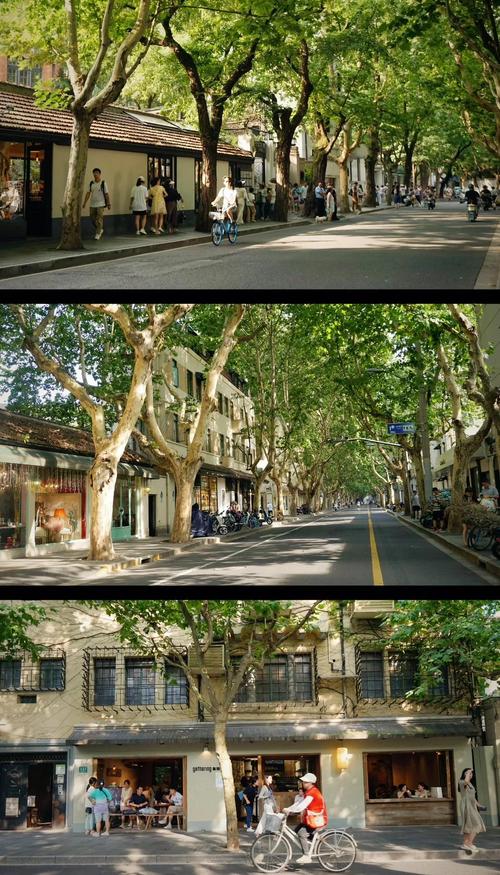 上海市新疆路500号是什么地方？-第3张图片-花冠旅游服务